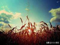 海南礼从德商贸有限公司