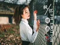 海南礼从德商贸有限公司