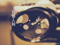 海南礼从德商贸有限公司
