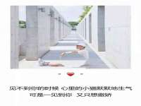 海南礼从德商贸有限公司