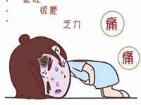 海南礼从德商贸有限公司