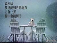 海南礼从德商贸有限公司