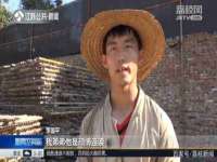 海南礼从德商贸有限公司