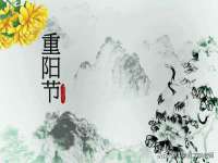 海南礼从德商贸有限公司