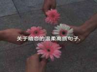 海南礼从德商贸有限公司