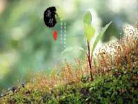 海南礼从德商贸有限公司