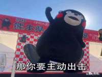 海南礼从德商贸有限公司