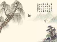 海南礼从德商贸有限公司
