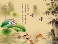 海南礼从德商贸有限公司