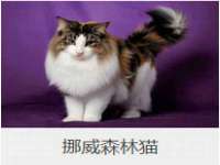 海南礼从德商贸有限公司