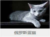 海南礼从德商贸有限公司
