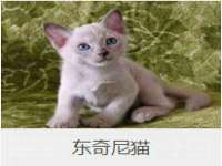 海南礼从德商贸有限公司