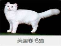 海南礼从德商贸有限公司