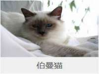 海南礼从德商贸有限公司