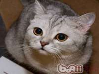 海南礼从德商贸有限公司