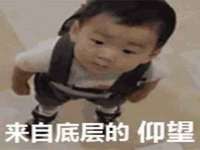 海南礼从德商贸有限公司