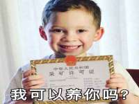 海南礼从德商贸有限公司