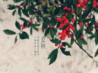 海南礼从德商贸有限公司