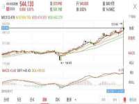海南礼从德商贸有限公司