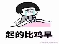 海南礼从德商贸有限公司