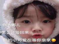 海南礼从德商贸有限公司