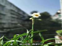 海南礼从德商贸有限公司