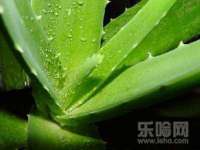 海南礼从德商贸有限公司