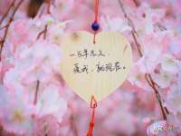 海南礼从德商贸有限公司