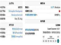 海南礼从德商贸有限公司