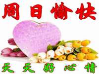 海南礼从德商贸有限公司