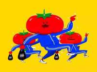海南礼从德商贸有限公司