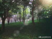 海南礼从德商贸有限公司