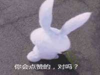 海南礼从德商贸有限公司