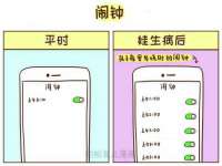 海南礼从德商贸有限公司