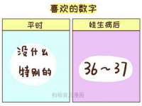 海南礼从德商贸有限公司