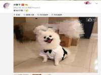 海南礼从德商贸有限公司