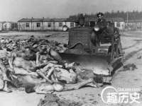 海南礼从德商贸有限公司