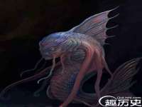 海南礼从德商贸有限公司