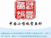 海南礼从德商贸有限公司