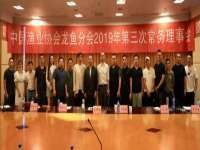 海南礼从德商贸有限公司