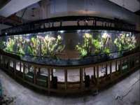 海南礼从德商贸有限公司