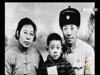 海南礼从德商贸有限公司