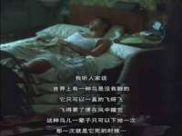 海南礼从德商贸有限公司