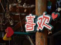 海南礼从德商贸有限公司