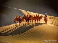 海南礼从德商贸有限公司