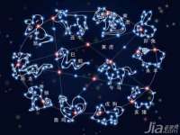 海南礼从德商贸有限公司