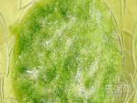 海南礼从德商贸有限公司