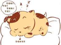 海南礼从德商贸有限公司