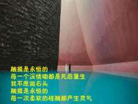 海南礼从德商贸有限公司
