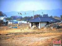 海南礼从德商贸有限公司